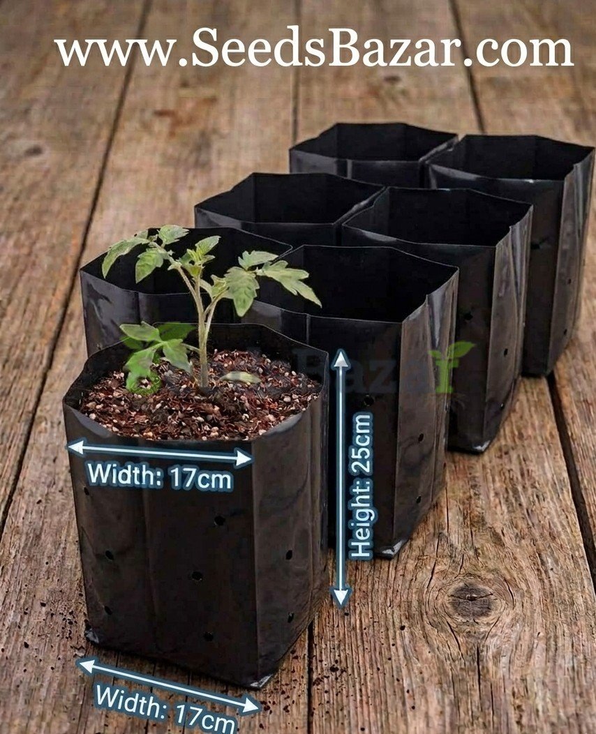 Large Black grow bags(12-set)