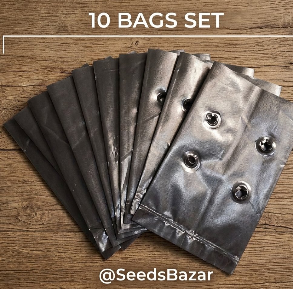 Small nursery black growbags for seed sowing