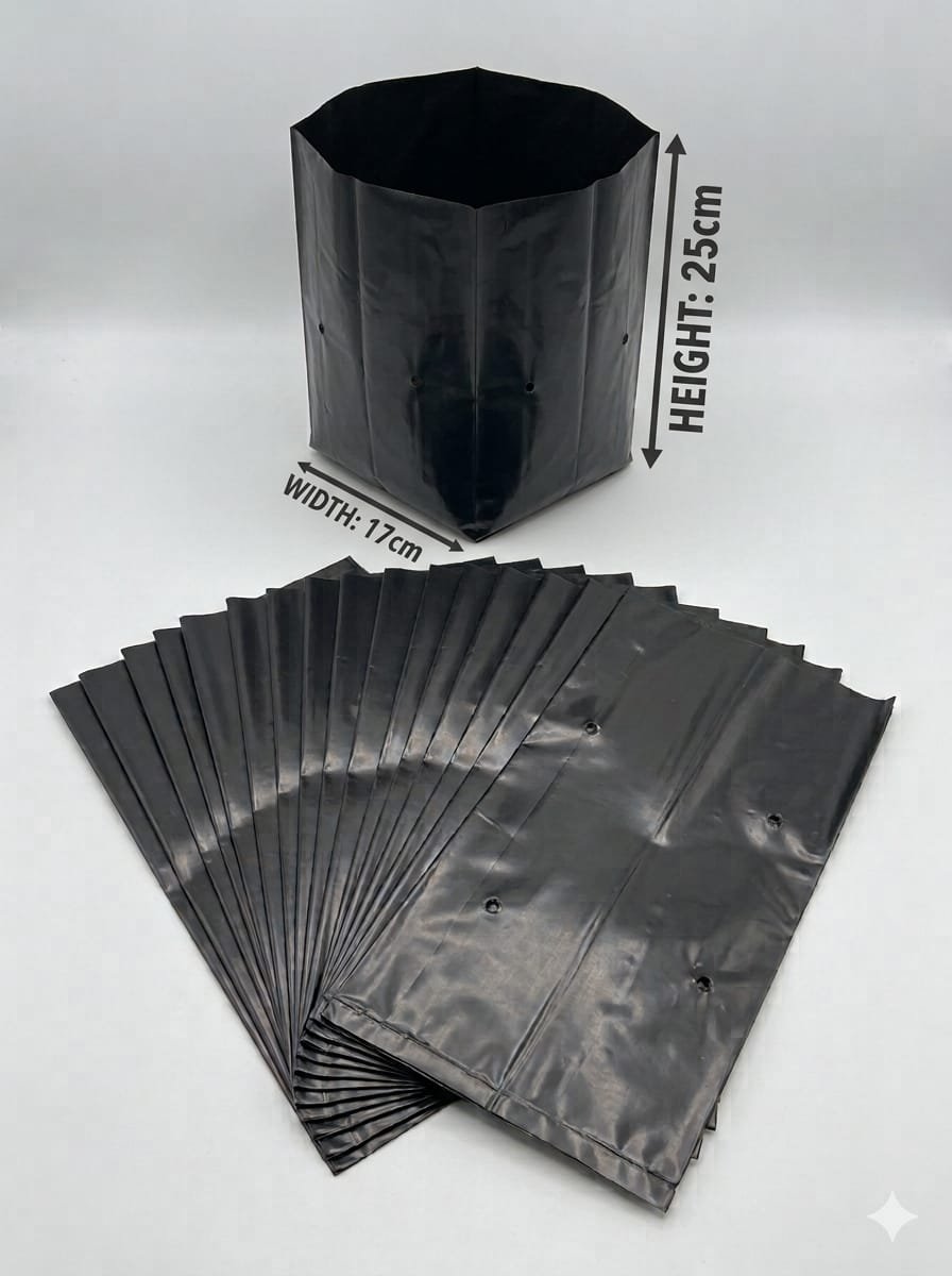 Large black grow bags-Pack of 10